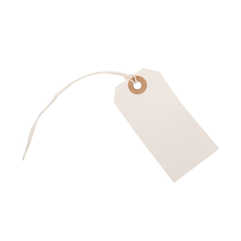 Strung Tags - 82 x 41mm