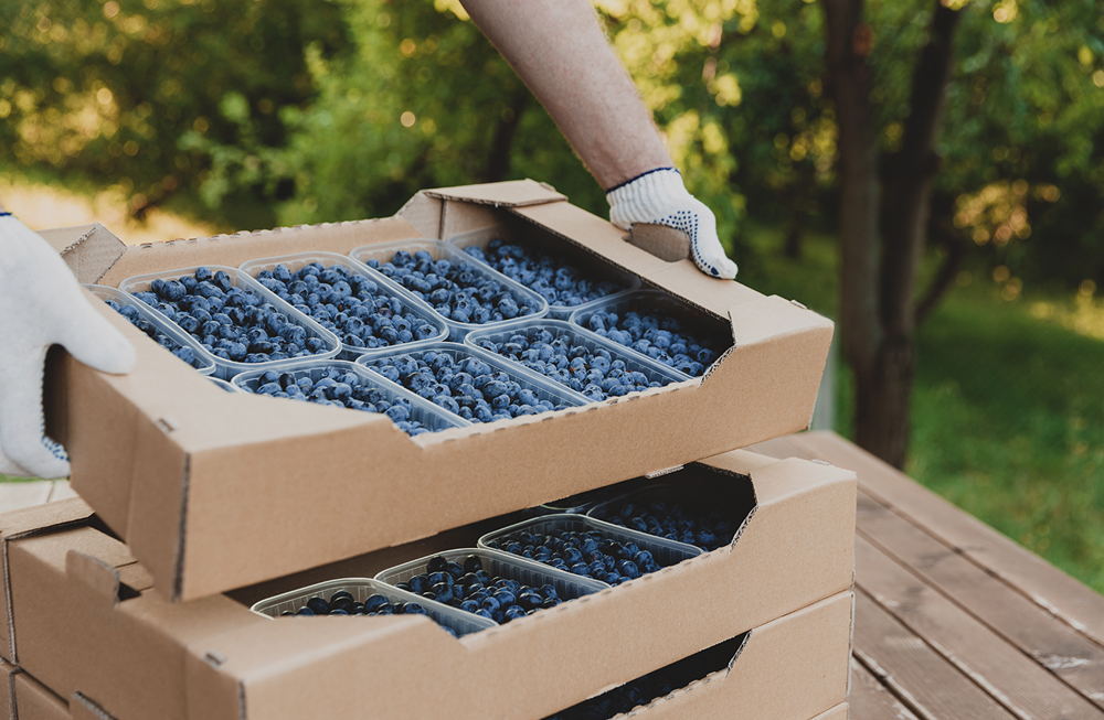 Packaging solutions used in agricultural and horticultural operations