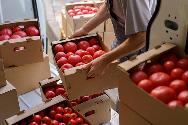 harvest,delivery,to,fruit,market,on,food,truck,as,male